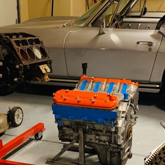 Meet your Posher, Andrew - Picture 1 of 1